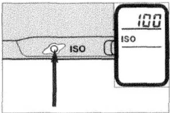 ISO 100 ISO