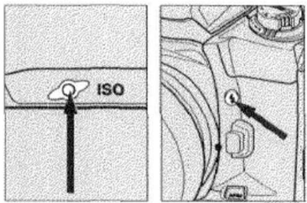 ISO