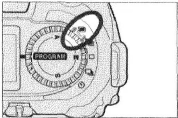 PROGRAM
