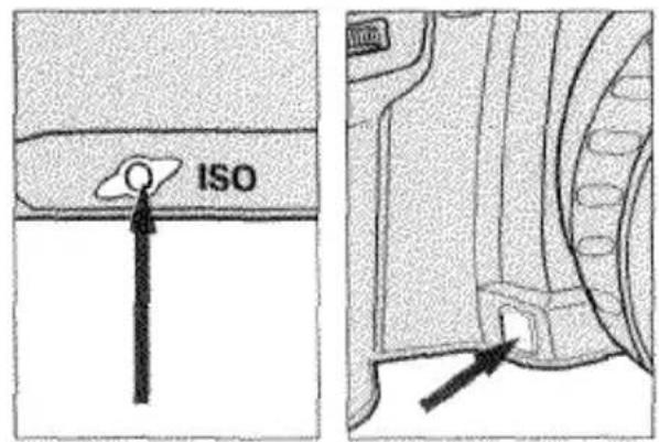 ISO