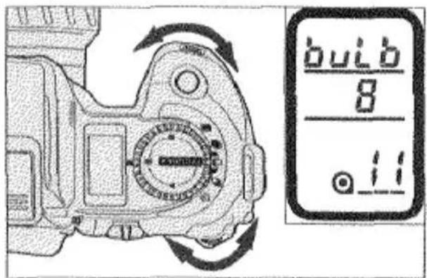 bulb 8 - 11