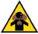 T-Rex TMA-5H - Safety Symbols - 6