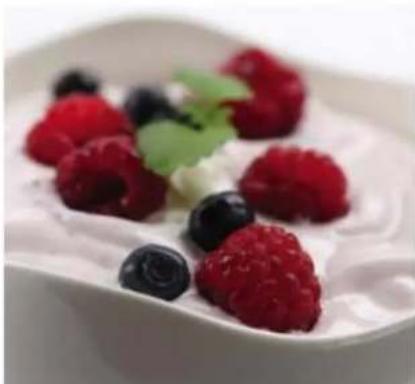 Euro Cuisine GY50 - Directions: - 1