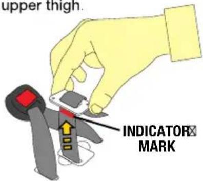 InfaSecure Momentum More - Buckle Height Adjustment - 2