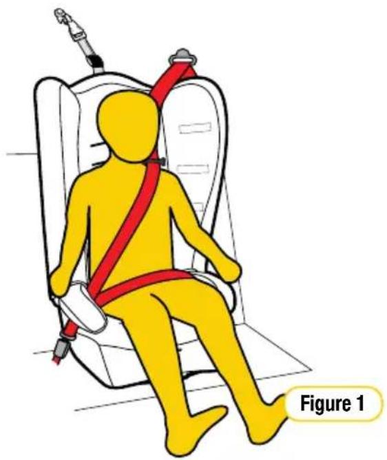 InfaSecure Momentum More - Next Type of Restraint - 1