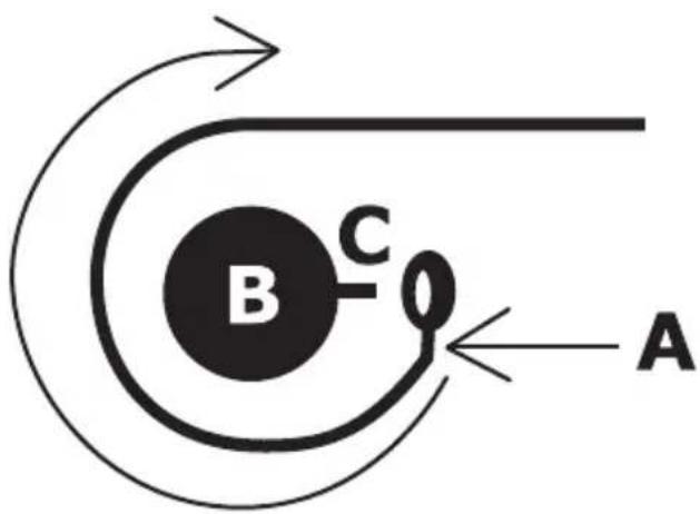 B C A