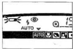 KONICA MINOLTA Freedom Zoom Supreme - LOW-BATTERY SYMBOL - 1