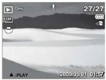 Grayscale landscape photo of a desert with hills in the background, showing terrain and no visible text or symbols.