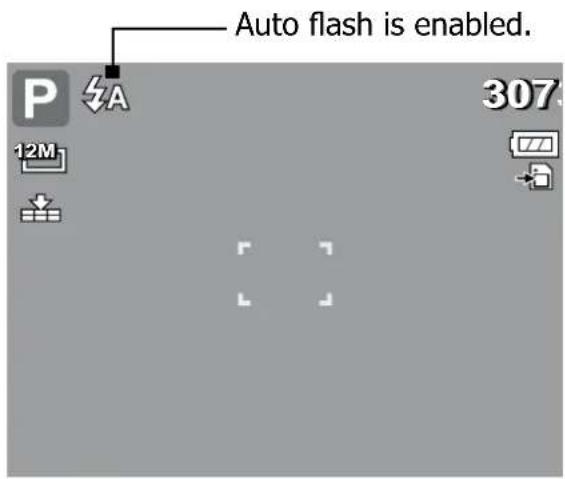 Auto flash is enabled. P 12M 307