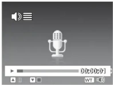 Screenshot of a media player interface showing playback controls and a microphone icon