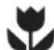 WESTINGHOUSE WQE4960AA - Congratulations - 1