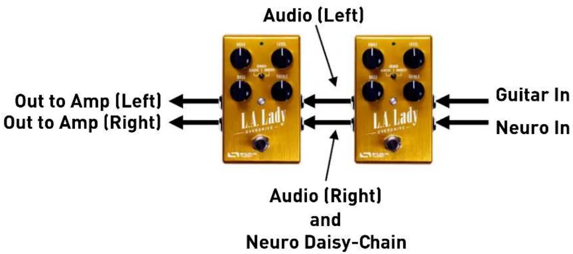 Source Audio L.A. Lady - Mono-To-Stereo Audio Path with Neuro Daisy-Chain - 1