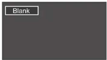 Blank