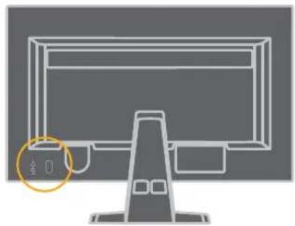 LENOVO ThinkVision LS2223 - Cable lock slot - 2