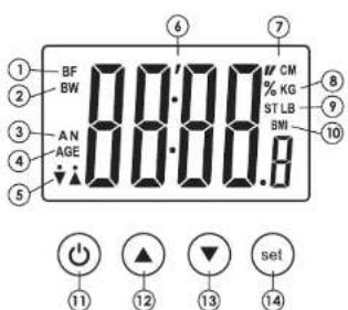 Taylor 572141933FW - Features/Specifications - 2