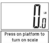 Taylor 572141933FW - START-UP THE SCALE - 2