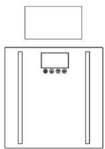 Taylor 572141933FW - Weighing-Only Operation - 1