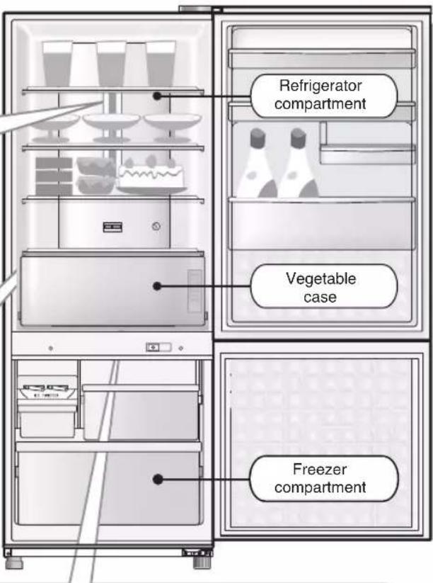 Refrigerator compartment Vegetable case Freezer compartment