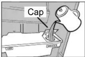 Cap