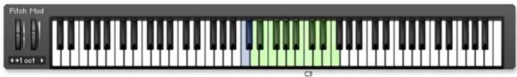 NATIVE INSTRUMENTS Damage - Ethnic Drums - 8