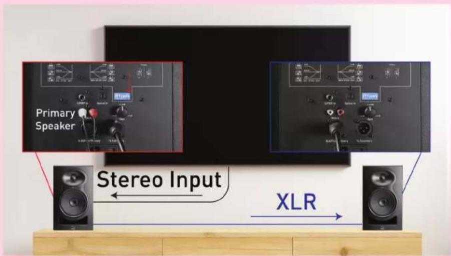 Kali Audio MM-6 - Connecting Multiple Speakers - 1