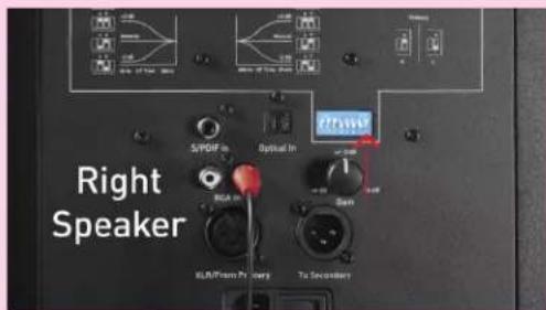 Kali Audio MM-6 - Alternative: Connect via RCA without XLR - 2