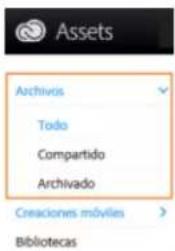 ADOBE Edge Animate CC 2015 - Examinar activos - 2
