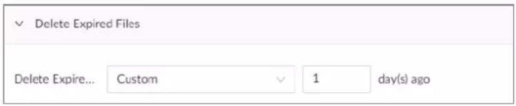 Delete Expired Files Delete Expire... Custom 1 day(s) ago