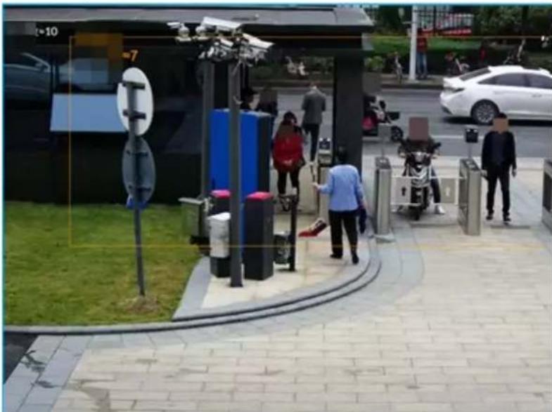 Dahua Technology EVS8236X - Live View of Crowd Distribution - 1