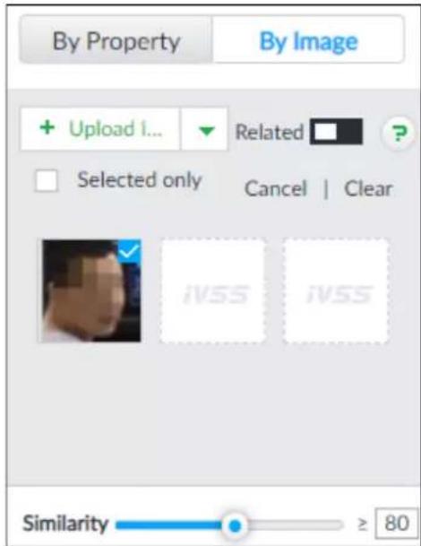 By Property By Image + Upload 1... Related Selected only Cancel | Clear iVSS iVSS Similarity ≥ 80
