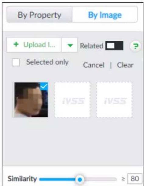 By Property By Image + Upload I... Related ? Selected only Cancel | Clear iVSS iVSS Similarity ≥ 80