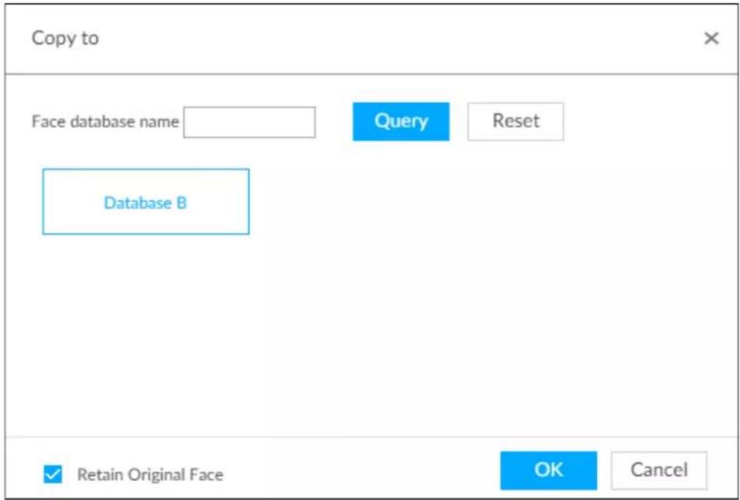 Copy to Face database name Query Reset Database B ✓ Retain Original Face OK Cancel