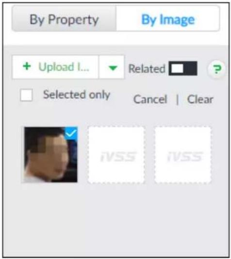 By Property By Image + Upload I... Related ? Selected only Cancel | Clear iVSS iVSS