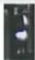 Dahua Technology IVSS7024-16M - Step 7 Click Query. - 7