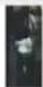 Dahua Technology IVSS7024-16M - Step 7 Click Query. - 4