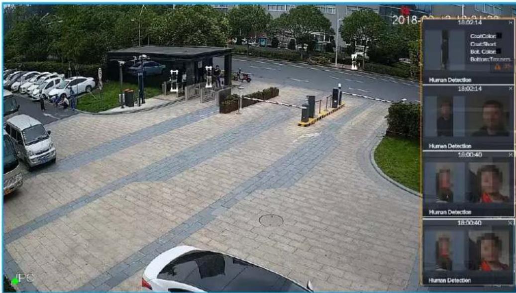 2018-02-10 12:30:50 18:02:14 CoatColor CoatShort Bot Color Botlow Tanners Human Detection 18:02:14 Human Detection 18:00:40 Human Detection 18:00:40 Human Detection
