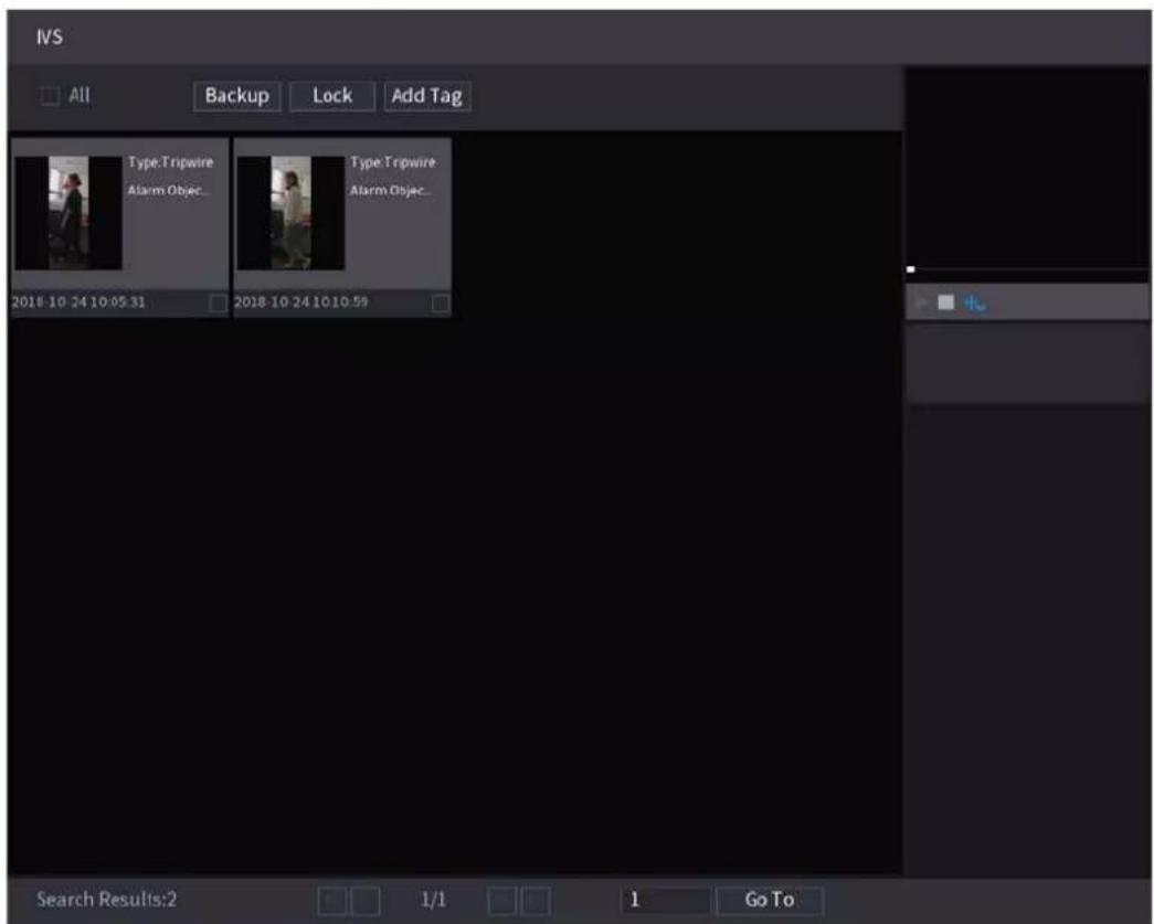 IVS All Backup Lock Add Tag Type: Tripwire Alarm Objec... Type: Tripwire Alarm Objec... 2018-10 24 10:05:31 2018-10 24 10:59 Search Results:2 1/1 1 Go To