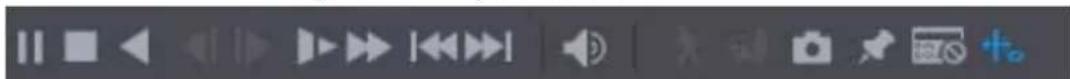 Screenshot of a media player control bar with playback, play, pause, and video icons
