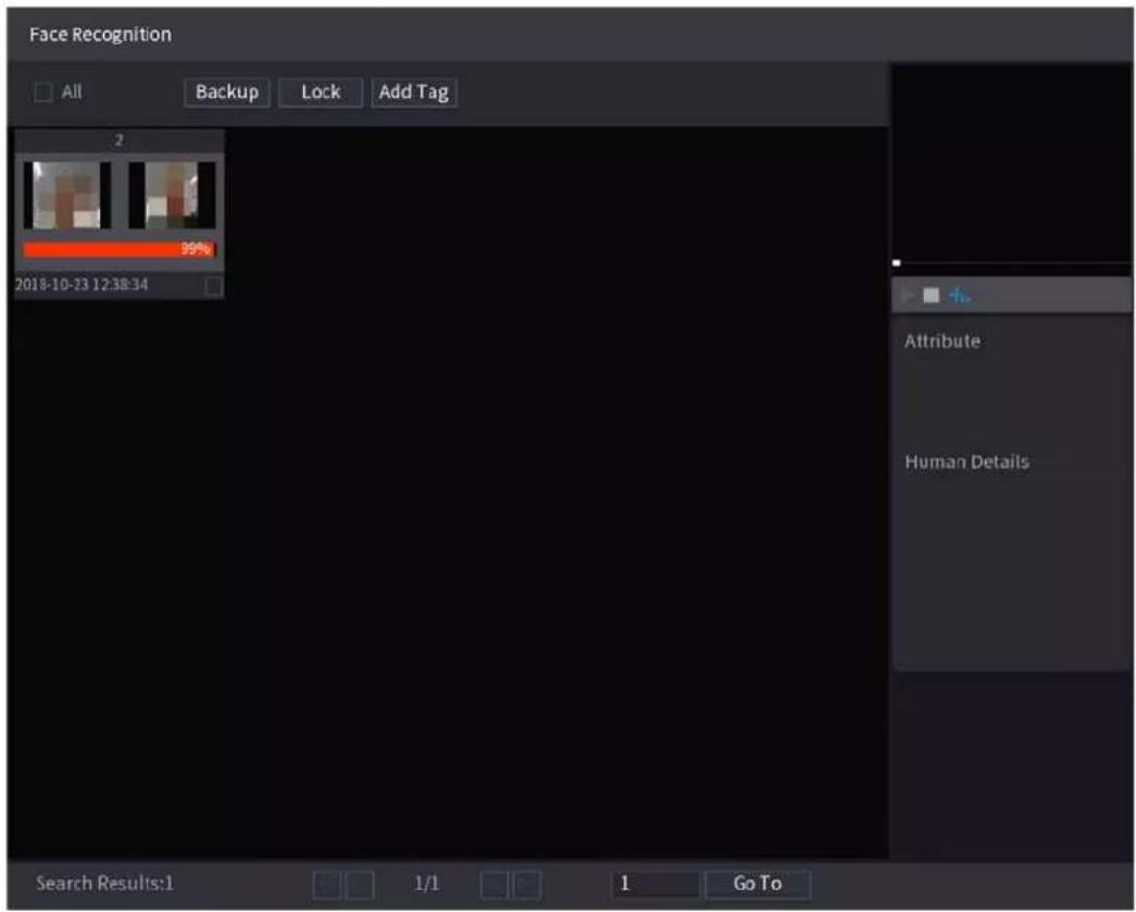 Face Recognition All Backup Lock Add Tag 2 99% 2018-10-33 12:38:34 Attribute Human Details Search Results:1 1/1 1 Go To