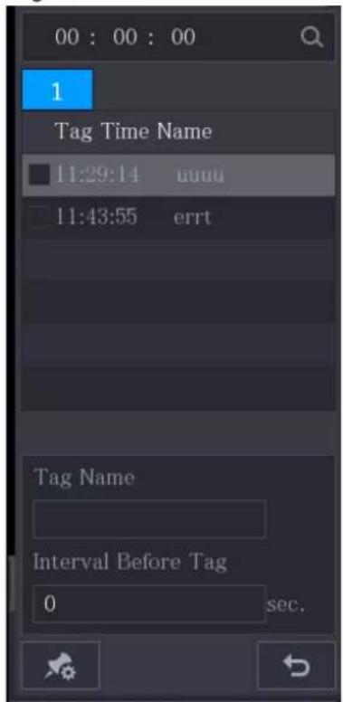 00 : 00 : 00 1 Tag Time Name 11:29:14 uuuu 11:43:55 errt Tag Name Interval Before Tag 0 sec.
