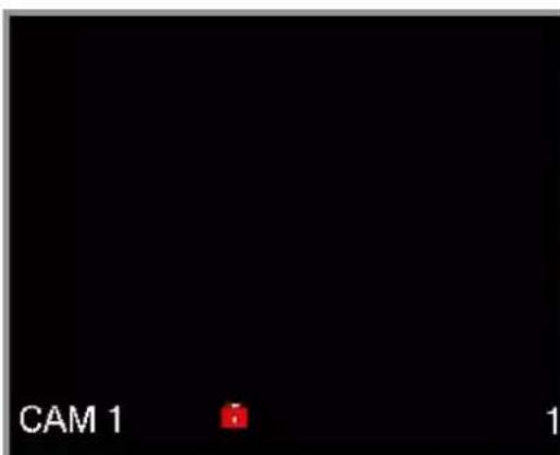 CAM 1 1