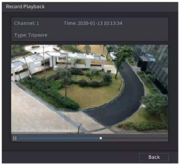 Record Playback Channel: 1 Time: 2020-01-13 10:13:34 Type: Tripwire Back