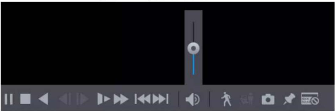 Dahua Technology XVR4216/32AN-X - Introducing Playback Controls Bar - 1