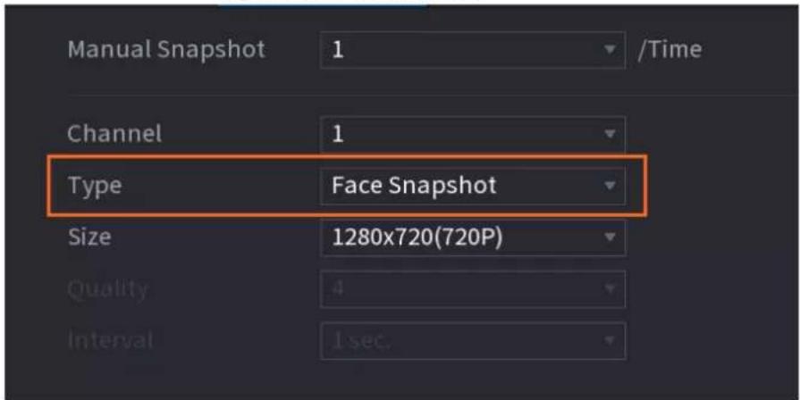 Manual Snapshot 1 /Time Channel 1 Type Face Snapshot Size 1280x720(720P) Quality 4 Interval 1 sec.