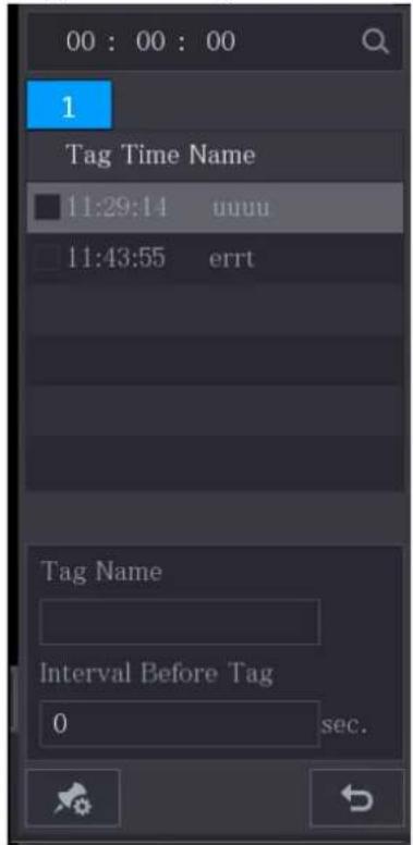 00 : 00 : 00 1 Tag Time Name 11:29:14 uuuu 11:43:55 errt Tag Name Interval Before Tag 0 sec.
