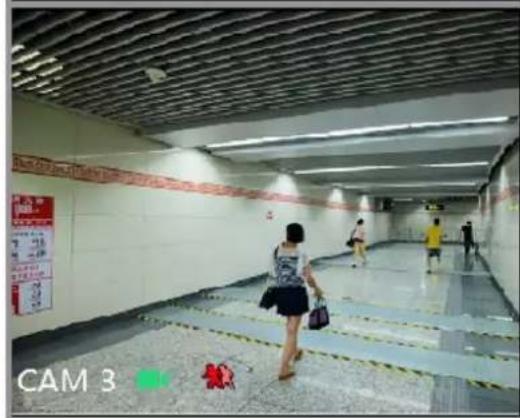 CAM 3