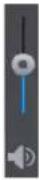 Dahua Technology XVR4216/32AN-X - Introducing Playback Controls Bar - 9