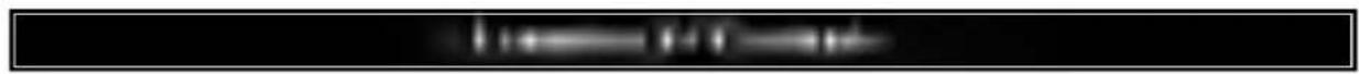 Scanned text fragment showing partial characters and a horizontal line, likely from a document or form.