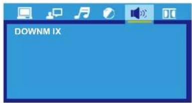 DOWNM IX