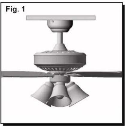 HONEYWELL Birnham 50192 - ! DANGER ! - 1